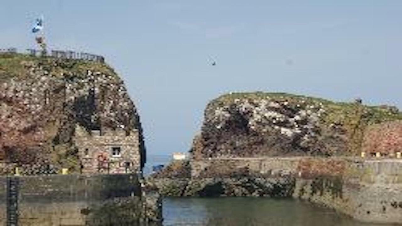 Caravan On Fantastic Site دنبار المظهر الخارجي الصورة